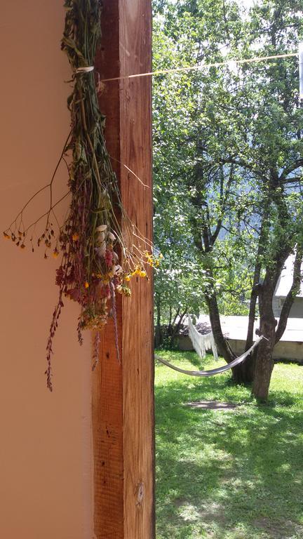 Guesthouse Mountain View Mestia Zewnętrze zdjęcie